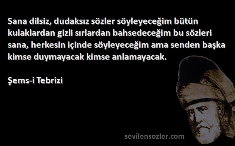 Şems-i Tebrizi Sözleri 
Sana dilsiz, dudaksız sözler söyleyeceğim bütün kulaklardan gizli sırlardan bahsedeceğim bu sözleri sana, herkesin içinde söyleyeceğim ama senden başka kimse duymayacak kimse anlamayacak.