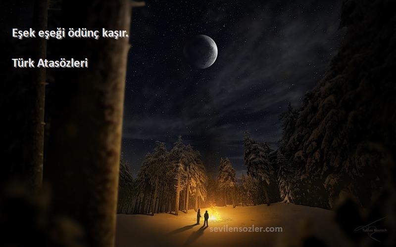 Türk Atasözleri - Eşek eşeği ödünç kaşır.