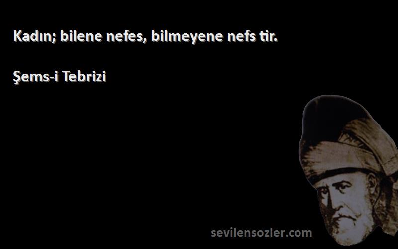 Şems-i Tebrizi - Kadın; bilene nefes, bilmeyene nefs tir.
