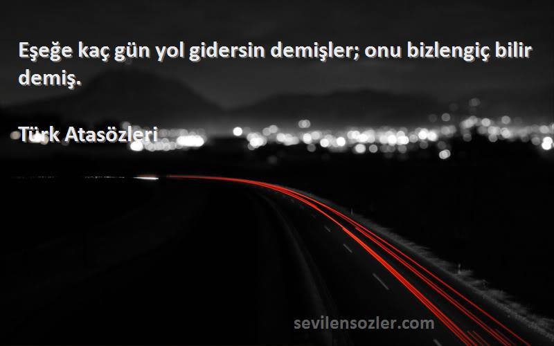 Türk Atasözleri - Eşeğe kaç gün yol gidersin demişler; onu bizlengiç bilir demiş.