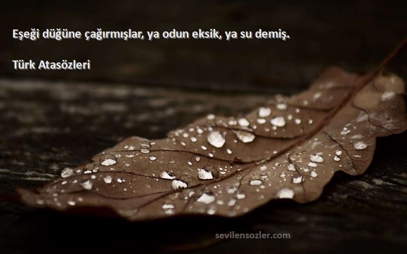 Türk Atasözleri - Eşeği düğüne çağırmışlar, ya odun eksik, ya su demiş.