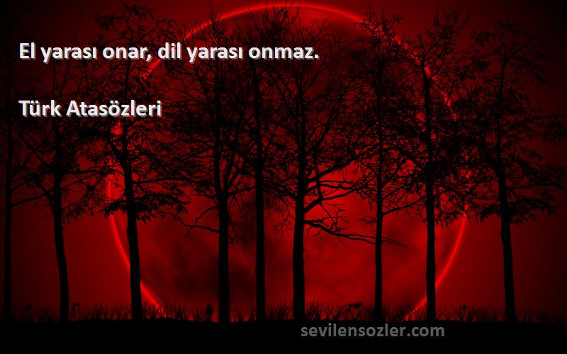 Türk Atasözleri - El yarası onar, dil yarası onmaz.