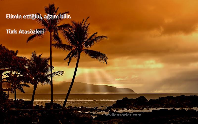 Türk Atasözleri - Elimin ettiğini, ağzım bilir.