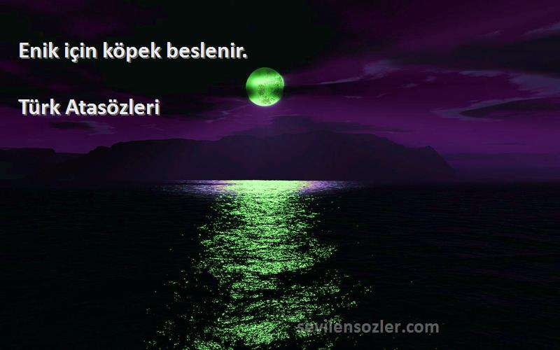 Türk Atasözleri - Enik için köpek beslenir.