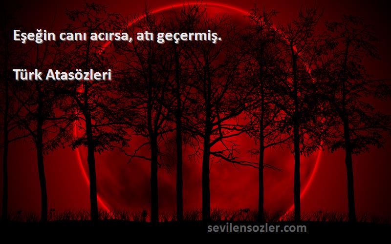 Türk Atasözleri - Eşeğin canı acırsa, atı geçermiş.