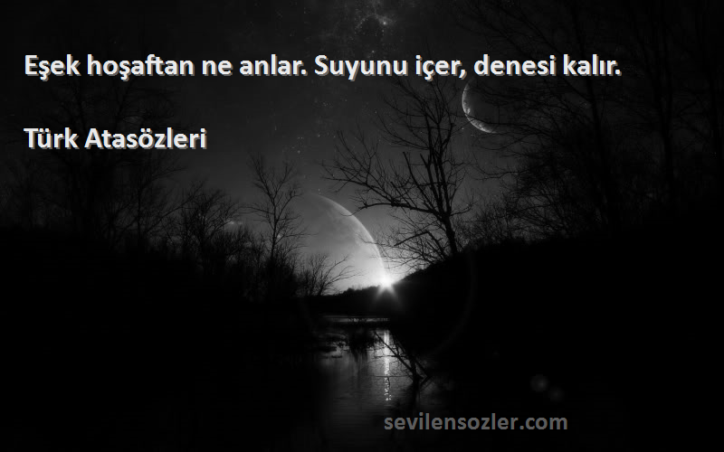 Türk Atasözleri - Eşek hoşaftan ne anlar. Suyunu içer, denesi kalır.