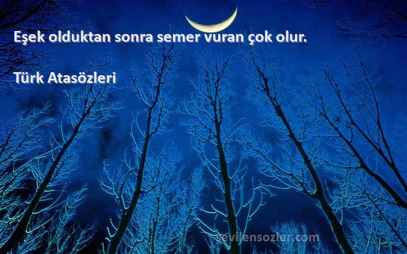 Türk Atasözleri Sözleri 
Eşek olduktan sonra semer vuran çok olur.