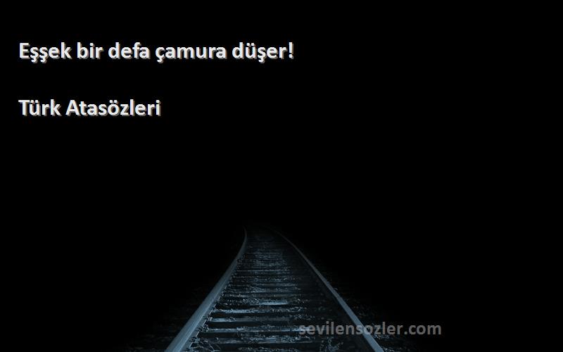 Türk Atasözleri - Eşşek bir defa çamura düşer!