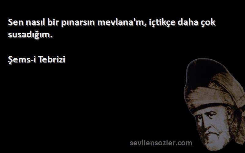 Şems-i Tebrizi - Sen nasıl bir pınarsın mevlana'm, içtikçe daha çok susadığım.