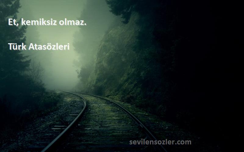 Türk Atasözleri - Et, kemiksiz olmaz.