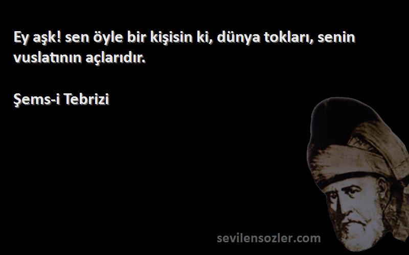 Şems-i Tebrizi - Ey aşk! sen öyle bir kişisin ki, dünya tokları, senin vuslatının açlarıdır.