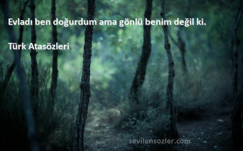 Türk Atasözleri - Evladı ben doğurdum ama gönlü benim değil ki.