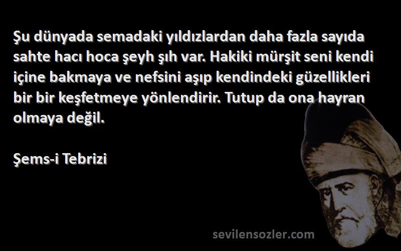 Şems-i Tebrizi Sözleri 
Şu dünyada semadaki yıldızlardan daha fazla sayıda sahte hacı hoca şeyh şıh var. Hakiki mürşit seni kendi içine bakmaya ve nefsini aşıp kendindeki güzellikleri bir bir keşfetmeye yönlendirir. Tutup da ona hayran olmaya değil.