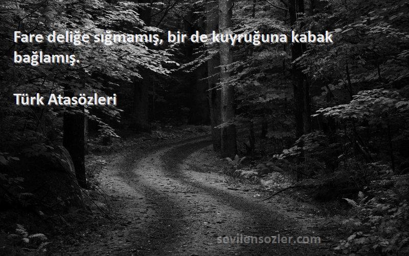 Türk Atasözleri - Fare deliğe sığmamış, bir de kuyruğuna kabak bağlamış.