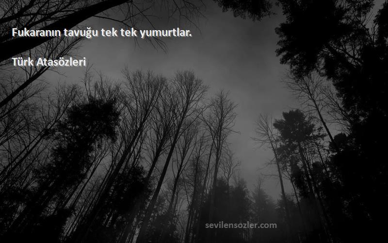 Türk Atasözleri - Fukaranın tavuğu tek tek yumurtlar.