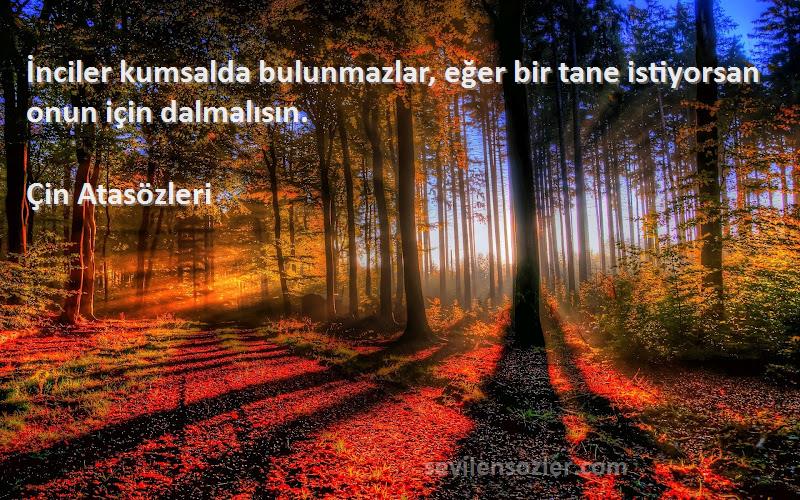 Çin Atasözleri - İnciler kumsalda bulunmazlar, eğer bir tane istiyorsan onun için dalmalısın.