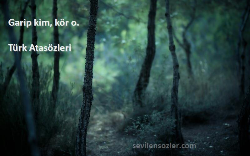 Türk Atasözleri - Garip kim, kör o.