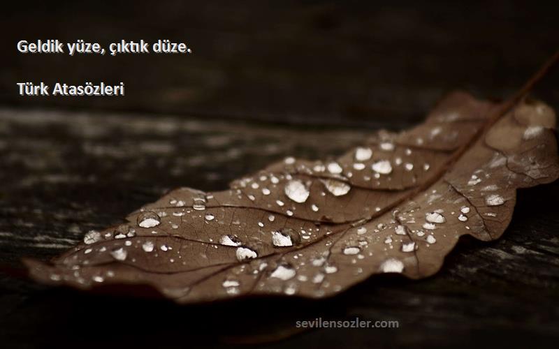 Türk Atasözleri - Geldik yüze, çıktık düze.