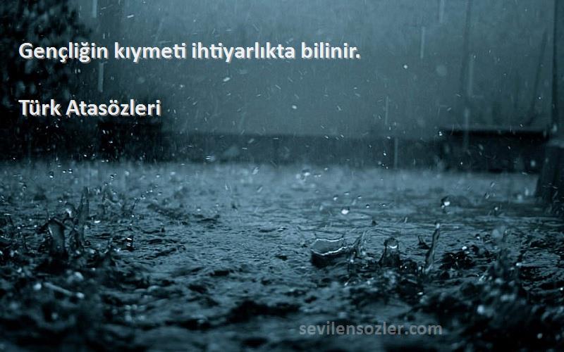 Türk Atasözleri Sözleri 
Gençliğin kıymeti ihtiyarlıkta bilinir.