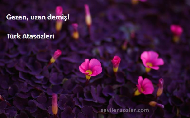 Türk Atasözleri - Gezen, uzan demiş!