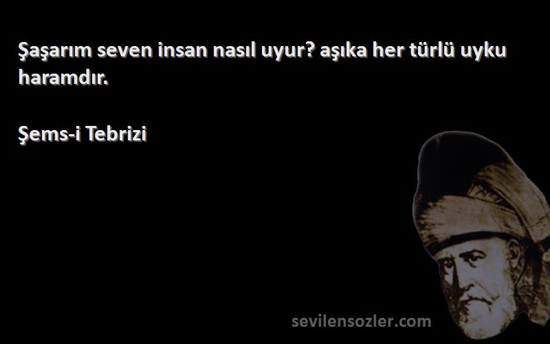 Şems-i Tebrizi - Şaşarım seven insan nasıl uyur? aşıka her türlü uyku haramdır.
