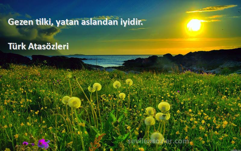 Türk Atasözleri Sözleri 
Gezen tilki, yatan aslandan iyidir.