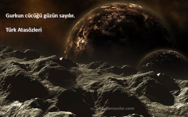 Türk Atasözleri - Gurkun cücüğü güzün sayılır.