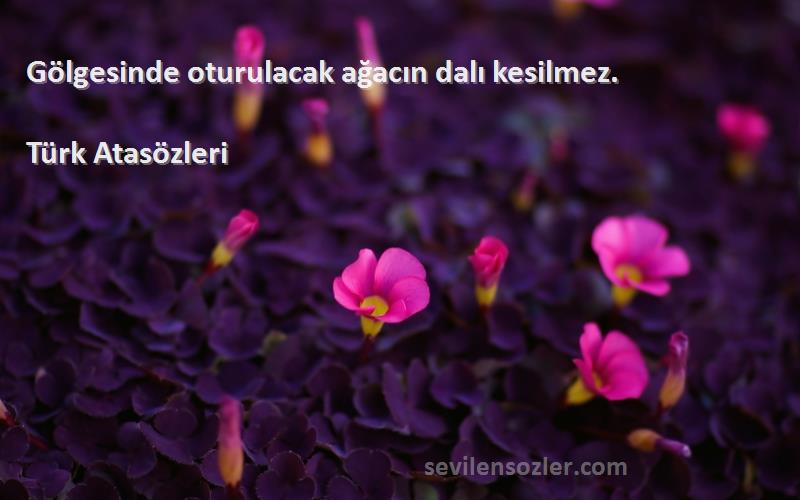 Türk Atasözleri - Gölgesinde oturulacak ağacın dalı kesilmez.