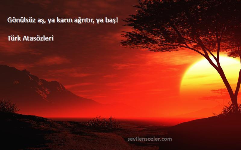 Türk Atasözleri - Gönülsüz aş, ya karın ağrıtır, ya baş!