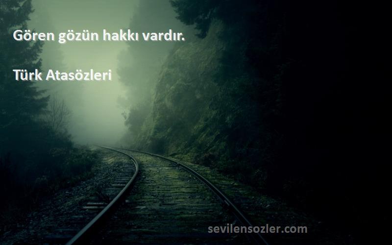 Türk Atasözleri - Gören gözün hakkı vardır.