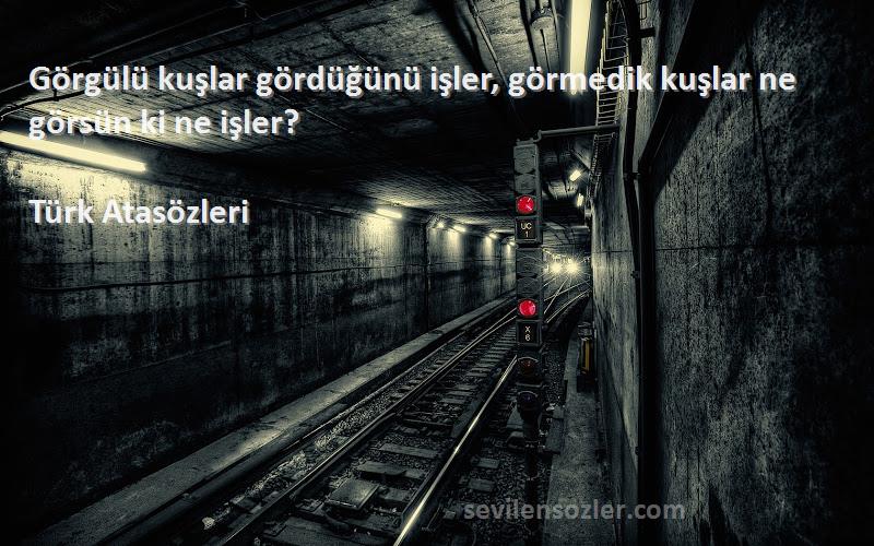 Türk Atasözleri - Görgülü kuşlar gördüğünü işler, görmedik kuşlar ne görsün ki ne işler?