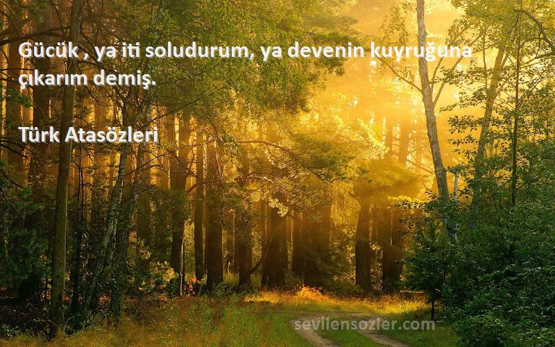 Türk Atasözleri - Gücük , ya iti soludurum, ya devenin kuyruğuna çıkarım demiş.