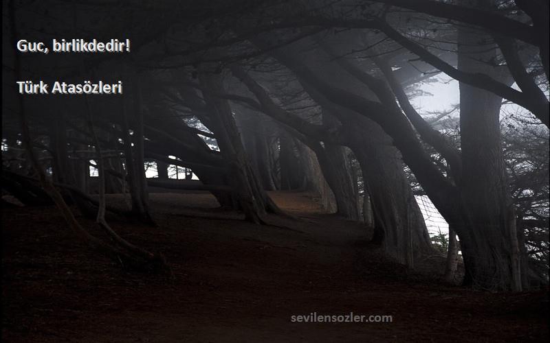 Türk Atasözleri - Guc, birlikdedir!