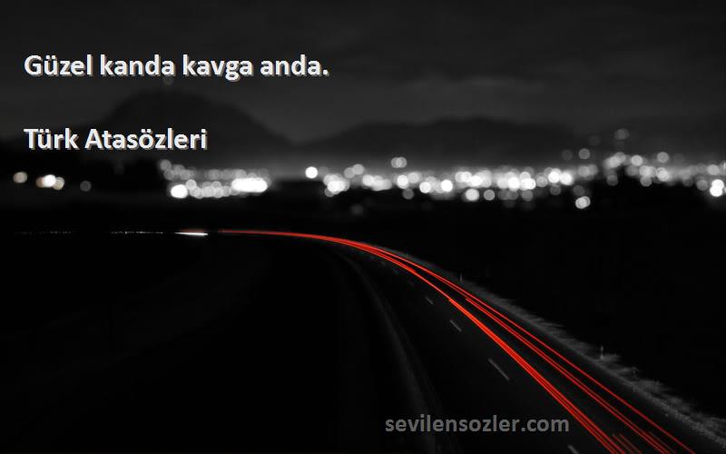 Türk Atasözleri - Güzel kanda kavga anda.