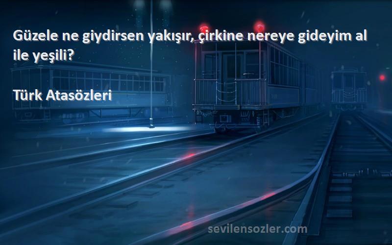 Türk Atasözleri - Güzele ne giydirsen yakışır, çirkine nereye gideyim al ile yeşili?