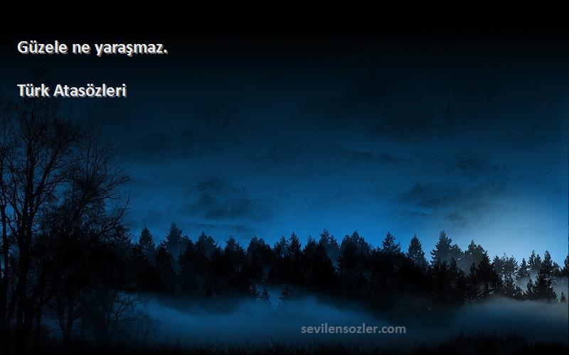 Türk Atasözleri - Güzele ne yaraşmaz.