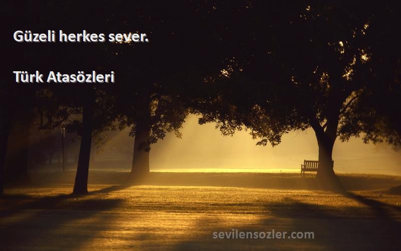 Türk Atasözleri - Güzeli herkes sever.