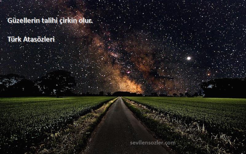 Türk Atasözleri - Güzellerin talihi çirkin olur.