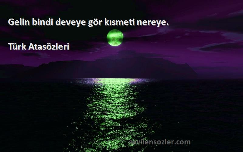 Türk Atasözleri - Gelin bindi deveye gör kısmeti nereye.