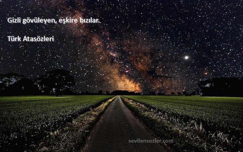 Türk Atasözleri - Gizli gövüleyen, eşkire bızılar.