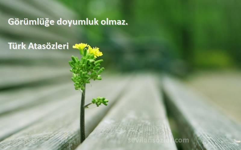 Türk Atasözleri - Görümlüğe doyumluk olmaz.