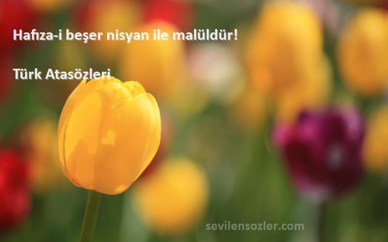 Türk Atasözleri Sözleri 
Hafıza-i beşer nisyan ile malüldür!