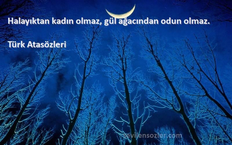 Türk Atasözleri - Halayıktan kadın olmaz, gül ağacından odun olmaz.