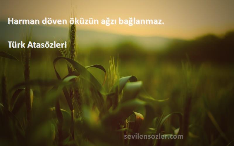 Türk Atasözleri - Harman döven öküzün ağzı bağlanmaz.