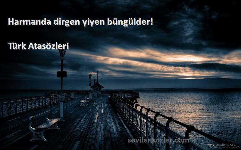 Türk Atasözleri - Harmanda dirgen yiyen büngülder!