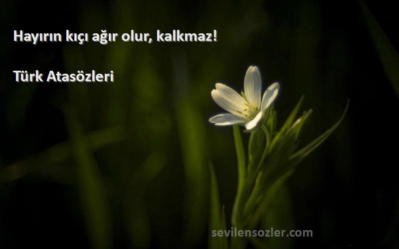 Türk Atasözleri - Hayırın kıçı ağır olur, kalkmaz!