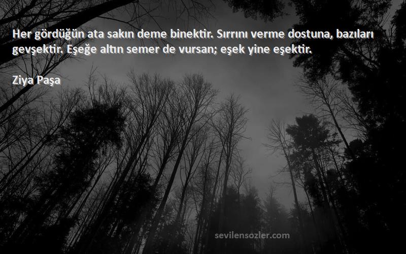 Ziya Paşa Sözleri 
Her gördüğün ata sakın deme binektir. Sırrını verme dostuna, bazıları gevşektir. Eşeğe altın semer de vursan; eşek yine eşektir.