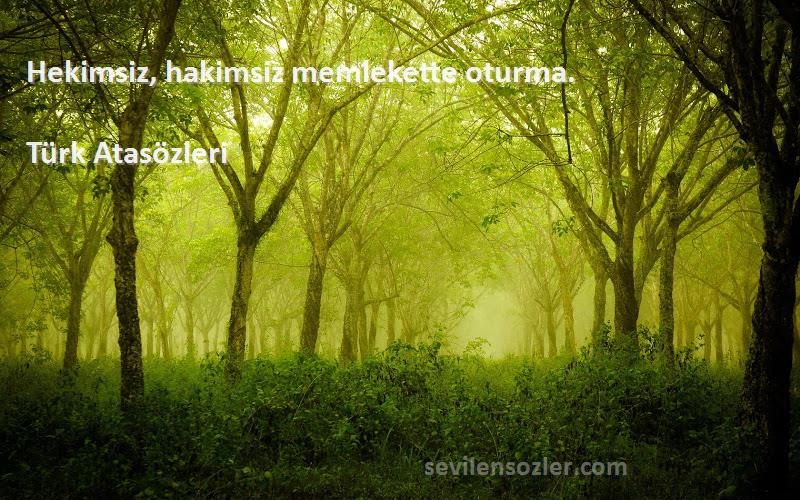 Türk Atasözleri - Hekimsiz, hakimsiz memlekette oturma.