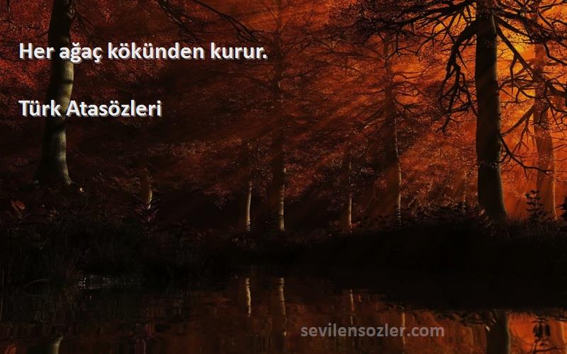 Türk Atasözleri - Her ağaç kökünden kurur.