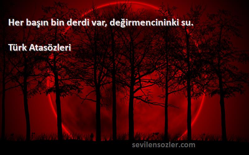 Türk Atasözleri - Her başın bin derdi var, değirmencininki su.